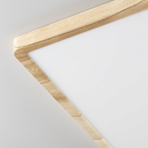 Накладной светильник Citilux Бейсик CL738K502V в Нижнем Новгороде фото 3