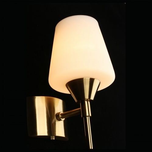 Бра Aployt Lyus APL.840.01.01 в Нижнем Новгороде фото 5