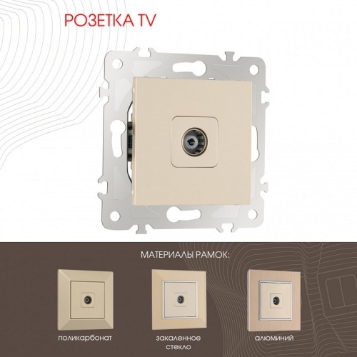 ТВ-розетка без рамки Arte Milano am-203 203.43-1.shampan в Нижнем Новгороде фото 6