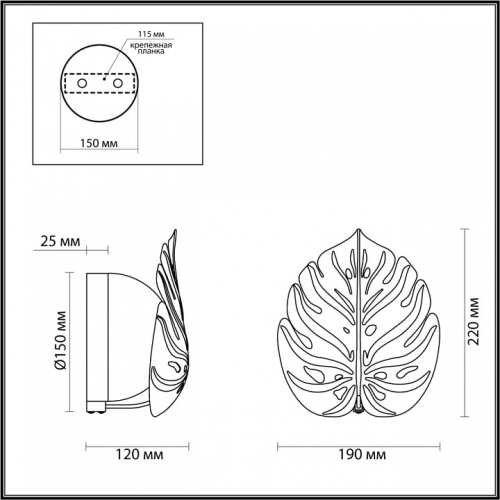 Бра Odeon Light Jungle 4865/1W в Кадникове фото 3