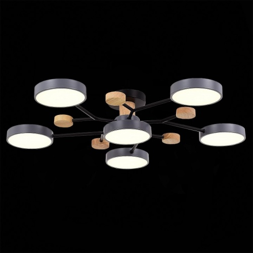 Потолочная люстра EVOLUCE Faema SLE6006-702-06 в Нижнем Новгороде фото 3