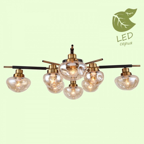 Потолочная люстра Lussole Oahe GRLSP-8142 в Нижнем Новгороде фото 4