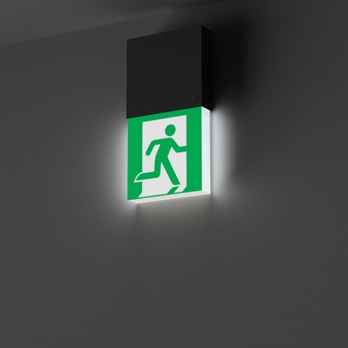 Светильник-указатель Arlight EMG-MARK 057966 в Нижнем Новгороде фото 4