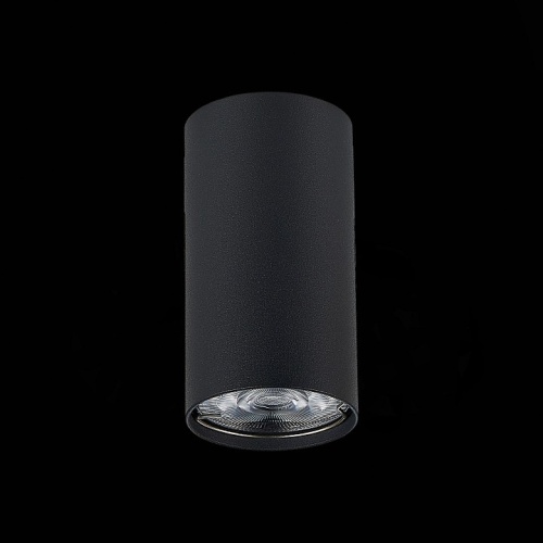 Накладной светильник ST-Luce Simplus ST110.407.01 в Соколе фото 6