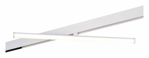 Светильник на штанге ST-Luce ST803 ST803.546.10 в Нижнем Новгороде фото 4