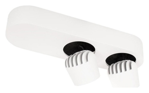 Накладной светильник Loft it Quiet 10320/2 White в Нижнем Новгороде фото 4