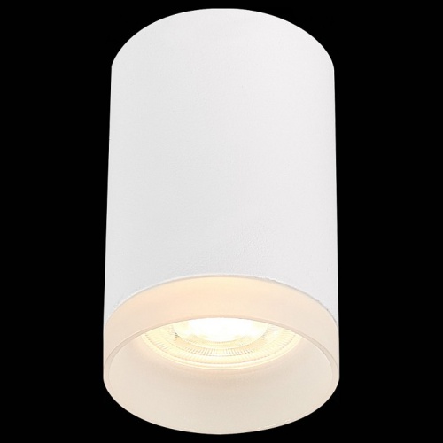 Накладной светильник ST-Luce ST100 ST100.502.01 в Нижнем Новгороде фото 3