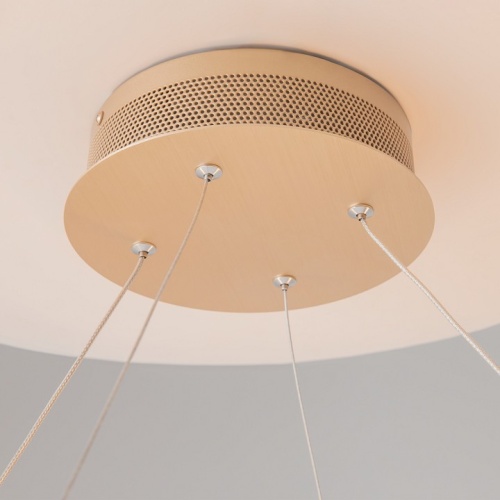 Подвесной светильник Maytoni Chain MOD017PL-L50MG в Нижнем Новгороде фото 12