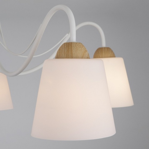 Потолочная люстра Eurosvet Betty 70062/5 белый в Нижнем Новгороде фото 3