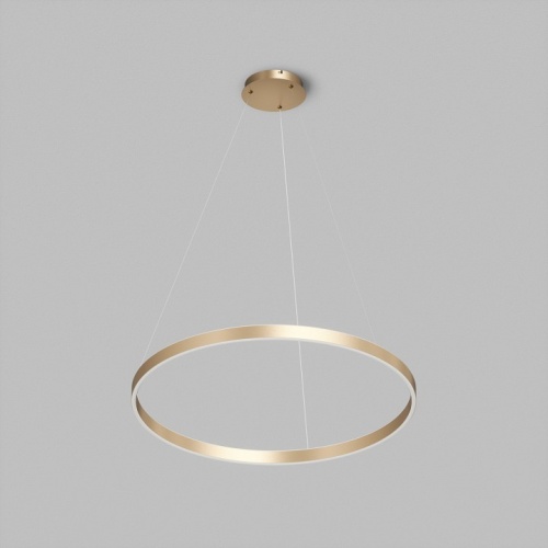 Подвесной светильник Denkirs RAYDIA DK6272-SG в Нижнем Новгороде фото 5