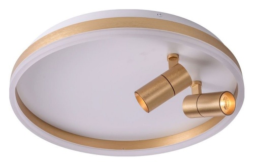 Накладной светильник Zortes Raizy ZRS.1888.02 в Нижнем Новгороде фото 3