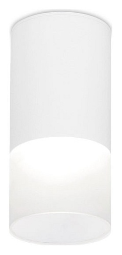 Накладной светильник Ambrella Light TN TN231 в Нижнем Новгороде