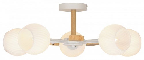 Люстра на штанге Rivoli Chiara Б0068452 в Нижнем Новгороде фото 4