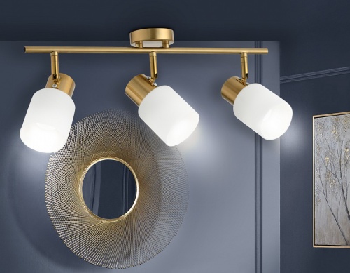 Спот Ambrella Light TR TR3972 в Нижнем Новгороде фото 3