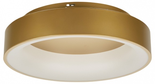 Накладной светильник MyFar Shannon MR2195-1PL в Нижнем Новгороде