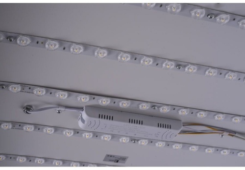 Накладной светильник Zortes Monna ZRS.1209.07 в Нижнем Новгороде фото 12