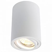 Накладной светильник Arte Lamp Sentry A1560PL-1WH в Архангельске