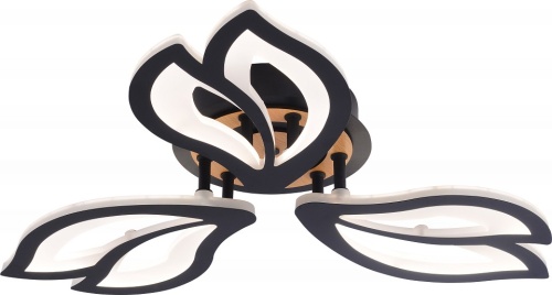 Люстра на штанге Rivoli Rivoli Lana 6195-703 в Нижнем Новгороде фото 3