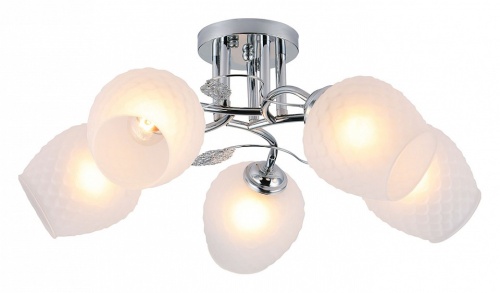 Потолочная люстра Escada Sorbaria 1108/5PL в Нижнем Новгороде фото 2