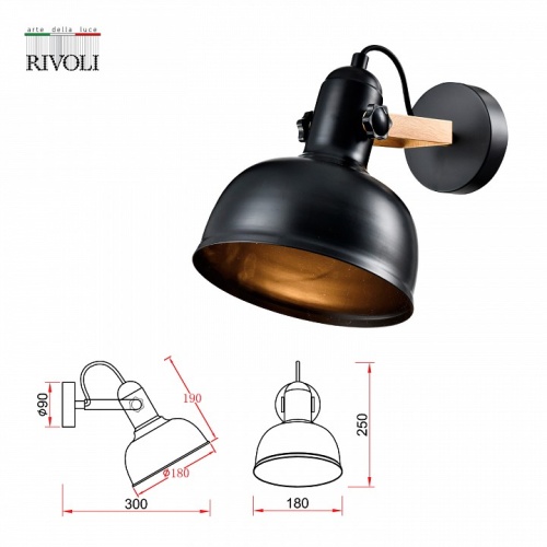 Спот Rivoli Nathalie Б0054988 в Нижнем Новгороде фото 2