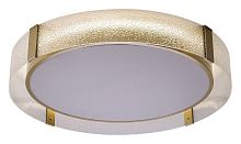 Накладной светильник Zortes Gerda ZRS.1097.60 в Нижнем Новгороде