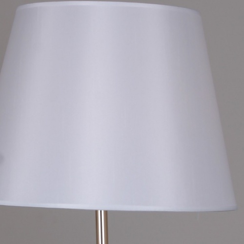 Торшер 02057-0.6-01 WH-GD в Нижнем Новгороде фото 2