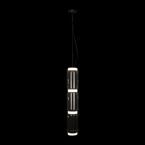 Подвесной светильник Loft it Noctambule 10194/L в Заполярном фото 3