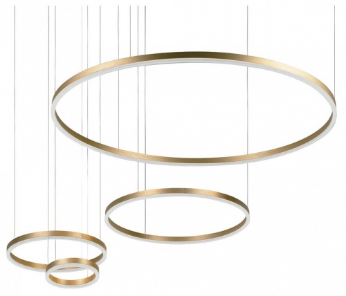 Подвесной светильник Loft it Ring 10017/4S в Нижнем Новгороде фото 7