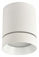 Накладной светильник Favourite Darar 3064-1C в Белом