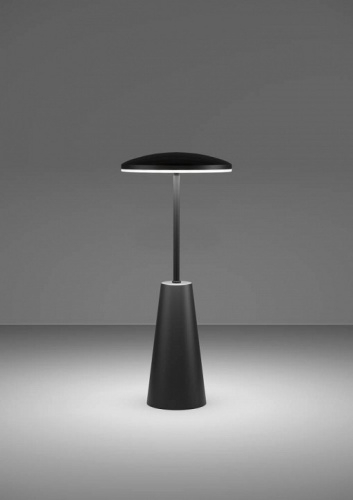 Настольная лампа декоративная Eglo PICCOLA 900925 в Нижнем Новгороде фото 5