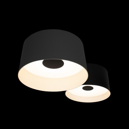 Накладной светильник Loft it Duo 10360/2 в Нижнем Новгороде фото 5