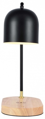 Настольная лампа офисная Zortes DESKLIGHT ZRS.1066.01 в Нижнем Новгороде фото 3