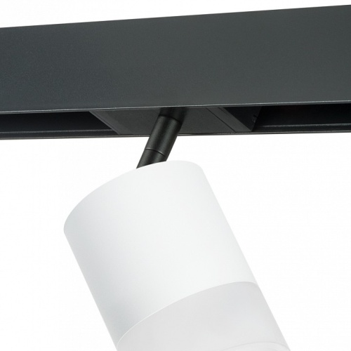 Светильник на штанге Lightstar Rullo PRO348681 в Нижнем Новгороде фото 3