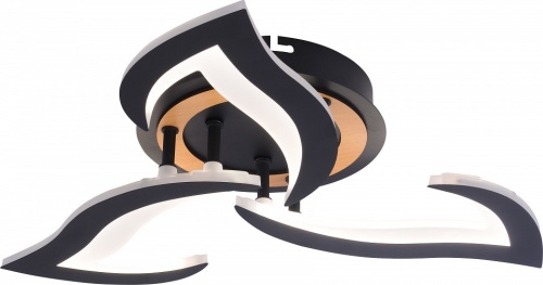 Люстра на штанге Rivoli Cassandra 6194-703 в Нижнем Новгороде фото 3