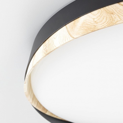 Накладной светильник Citilux BONNY CL754351G в Нижнем Новгороде фото 8