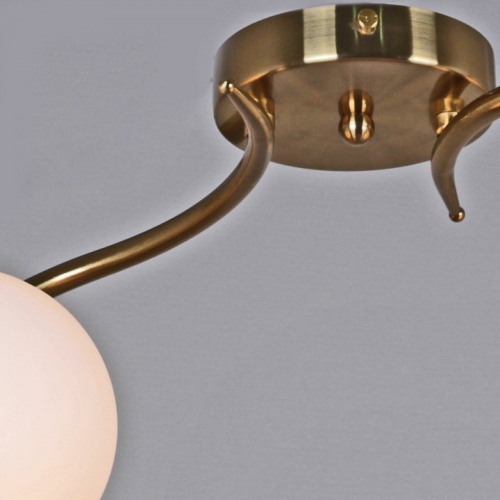 Светильник на штанге 81724-0.3-02 в Нижнем Новгороде фото 2