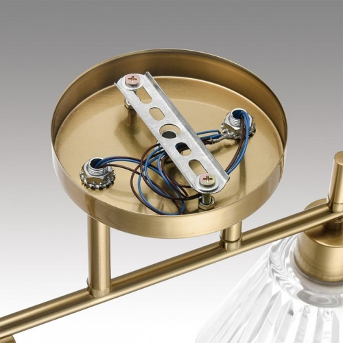 Светильник на штанге Lumion Vivian 8188/4C в Нижнем Новгороде фото 9