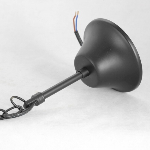 Подвесная люстра Lussole Lattice 1 GRLSP-8216 в Нижнем Новгороде фото 2