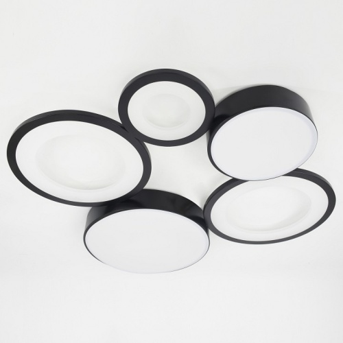 Потолочная люстра Rivoli Aliona Б0066468 в Нижнем Новгороде