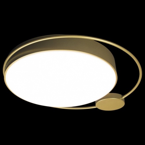 Накладной светильник Loft it Mike 10063 в Нижнем Новгороде фото 4