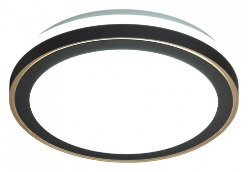 Накладной светильник Sonex Akuna 7620/DL в Нижнем Новгороде фото 5