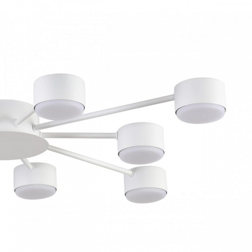 Потолочная люстра Lumion TORINA 8343/10C в Нижнем Новгороде фото 6