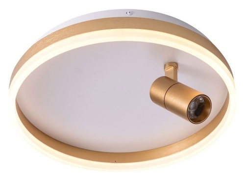 Накладной светильник Zortes Raizy ZRS.1888.04 в Нижнем Новгороде фото 4