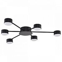 Потолочная люстра Lumion TORINA 8344/6C в Нижнем Новгороде