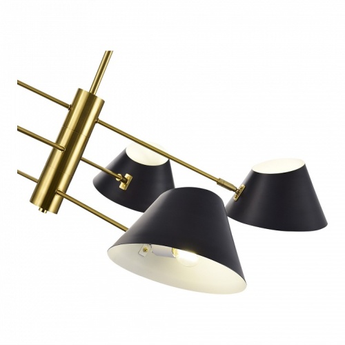 Люстра на штанге EVOLUCE Norbi SLE1253-343-06 в Нижнем Новгороде фото 2