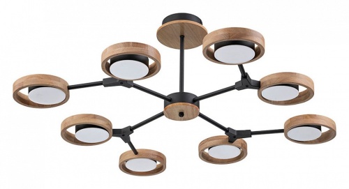 Люстра на штанге Arte Lamp Signora A2454PL-8BK в Нижнем Новгороде