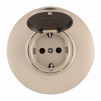 Розетка с заземлением и шторкой, с крышкой Arte Milano SET08-1 SET08-1-41-1 shampan в Нижнем Новгороде