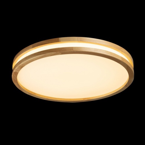 Накладной светильник De City Норден 660015401 в Нижнем Новгороде фото 3