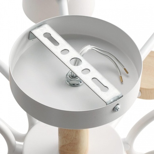 Потолочная люстра Lumion Rondo 8196/10C в Нижнем Новгороде фото 4