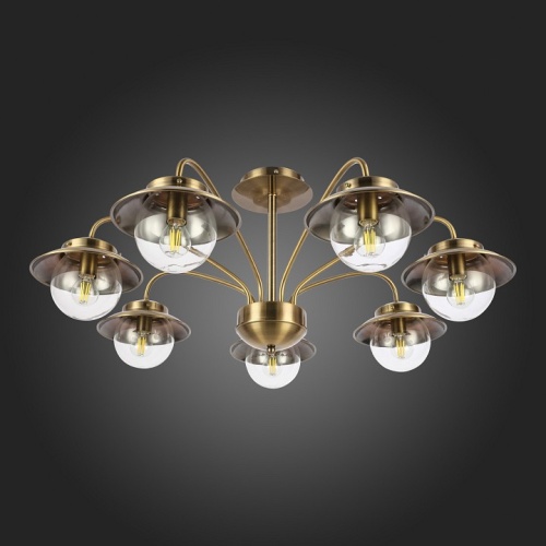 Потолочная люстра EVOLUCE Garonni SLE110102-07 в Нижнем Новгороде фото 6